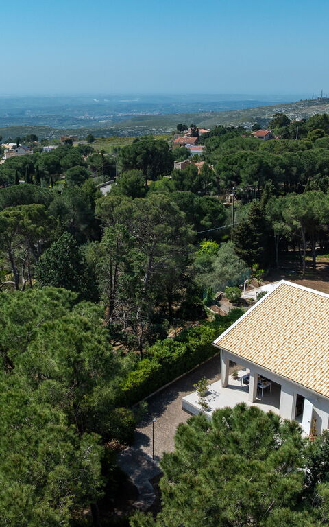 Nerodavola: Scenic View
