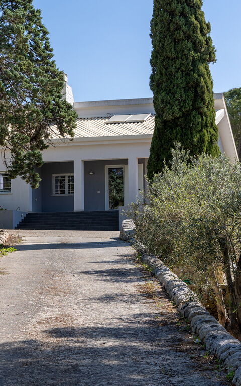 Nerodavola: Main Entrance