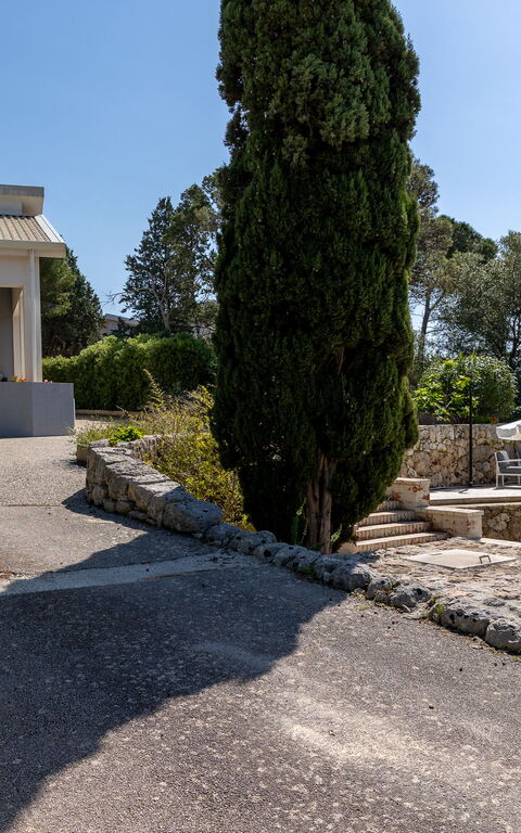Nerodavola: Main Entrance, Scenic View