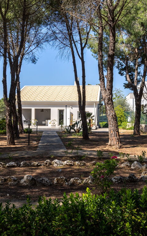 Nerodavola: Building Exterior, Outdoor