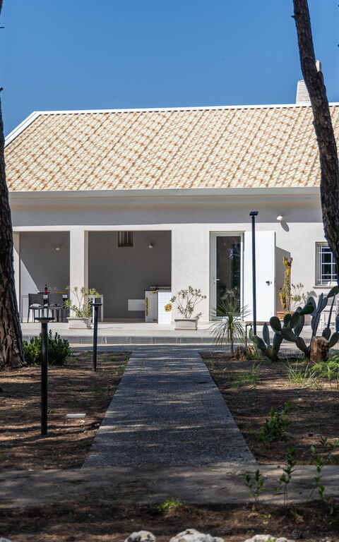 Nerodavola: Building Exterior, Outdoor