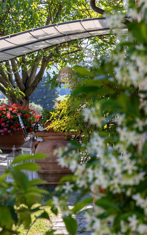 San Guido: Garden, Outdoor