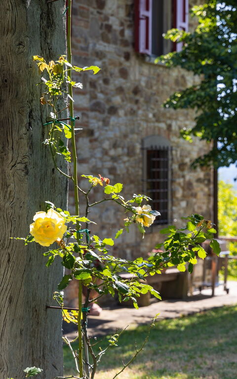 San Guido: Building Exterior, Garden, Outdoor