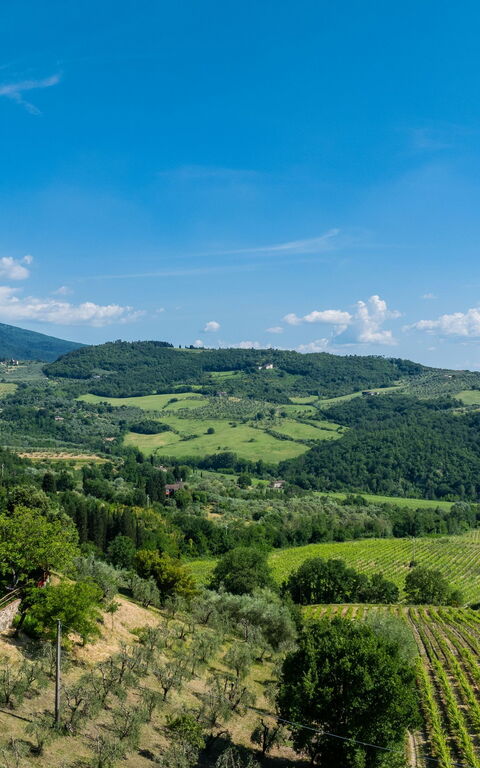 San Guido: Outdoor, Scenic View