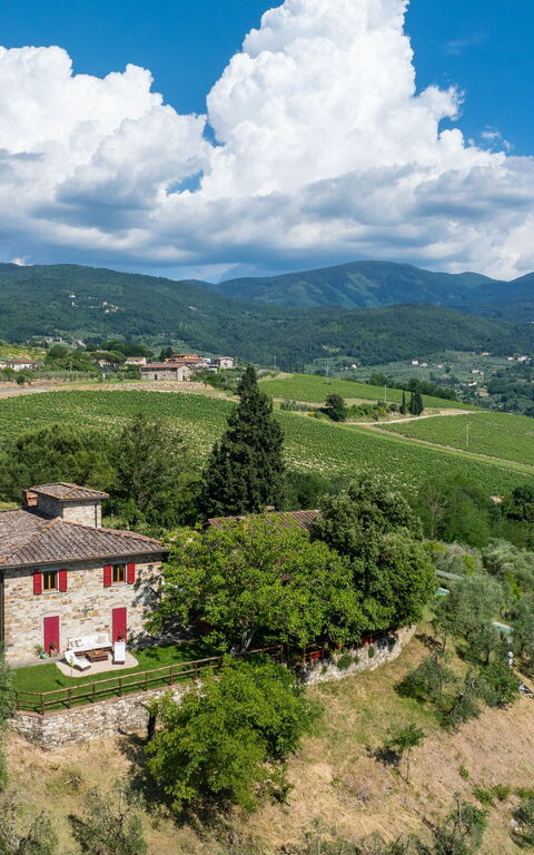 San Guido: Outdoor, Scenic View