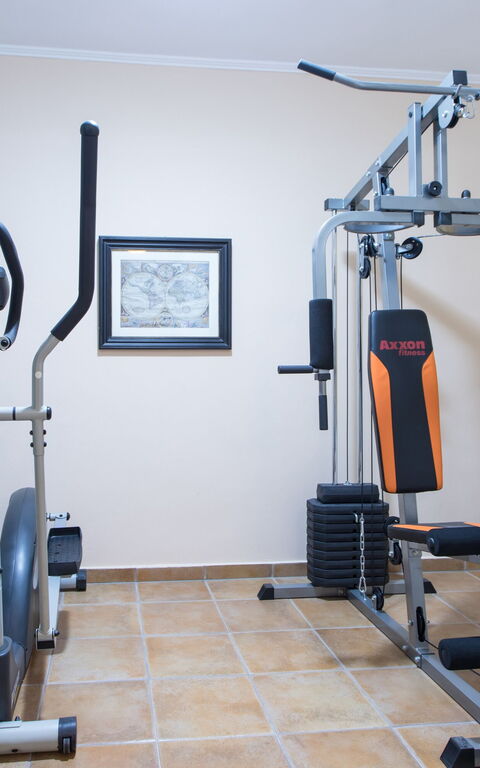 Villa Antina: Activities