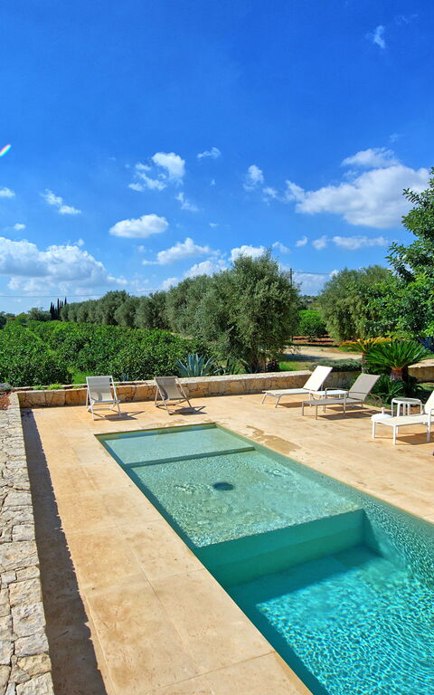 Tenuta Olearum: Pool, Summer