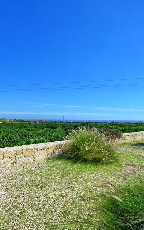 Tenuta Olearum: Garden, Outdoor, Summer