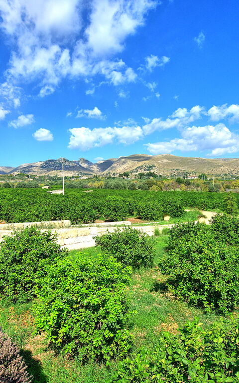 Tenuta Olearum: Outdoor, Scenic View, Summer