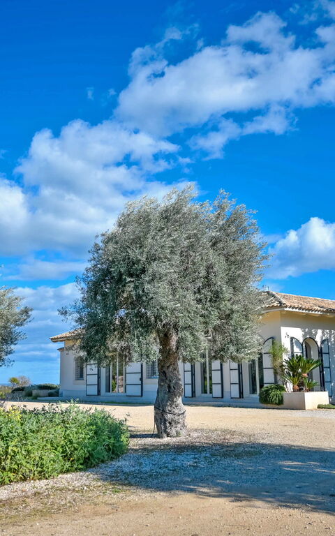 Tenuta Olearum: Garden, Summer