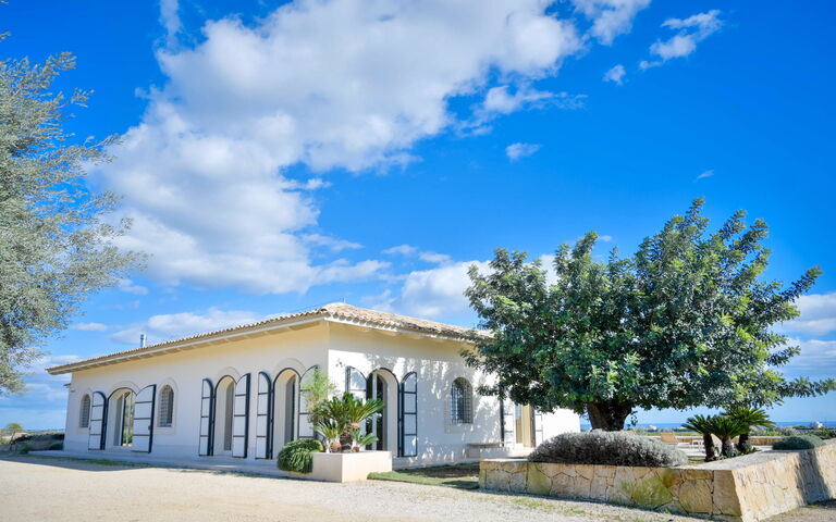 Tenuta Olearum: Garden