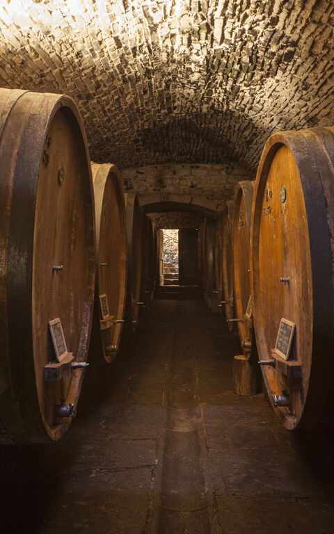 Villa Paneretta: Activities, Amenities