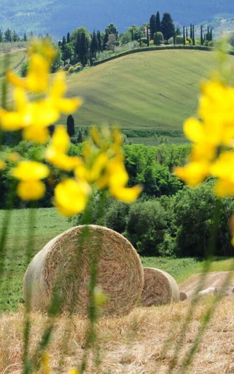 Palazzo Bello: Outdoor