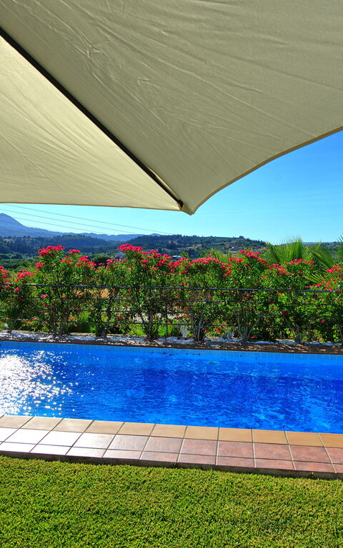 Villa Politini: Pool