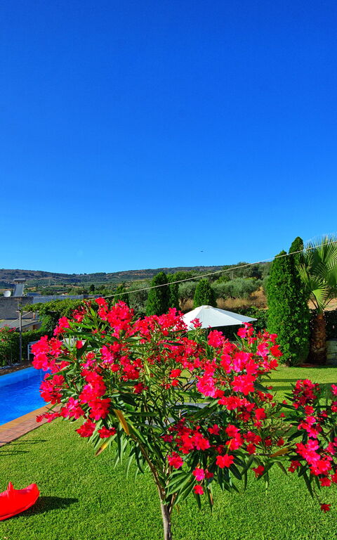 Villa Politini: Pool, Scenic View