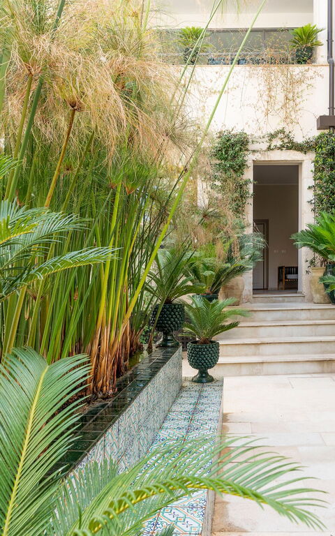 Aurispa: Balcony / Terrace / Patio, Outdoor