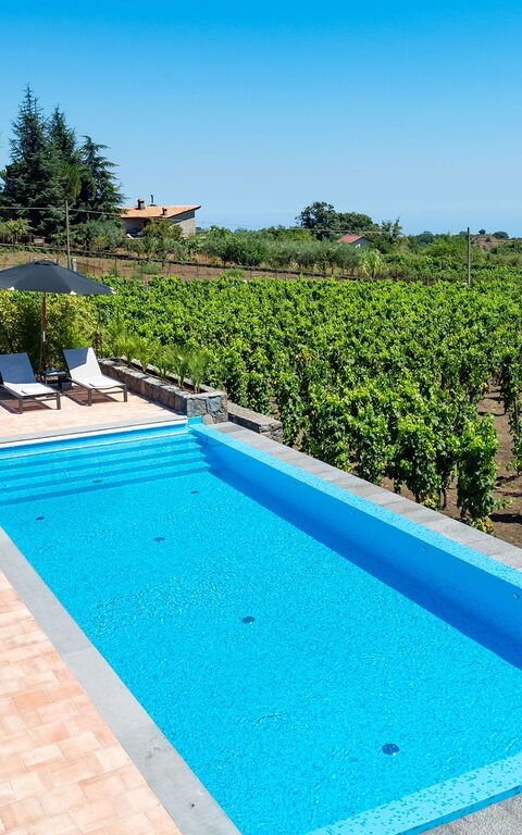 Villa Palmento Rosa: Pool