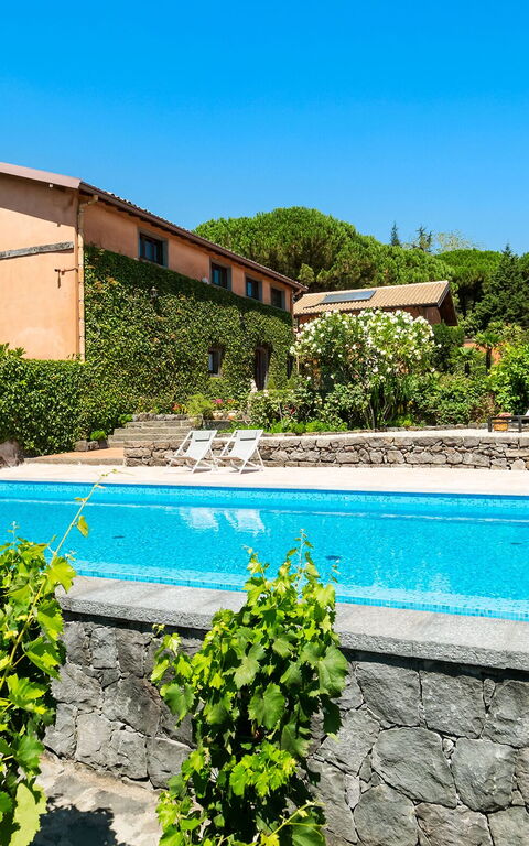 Villa Palmento Rosa: Pool