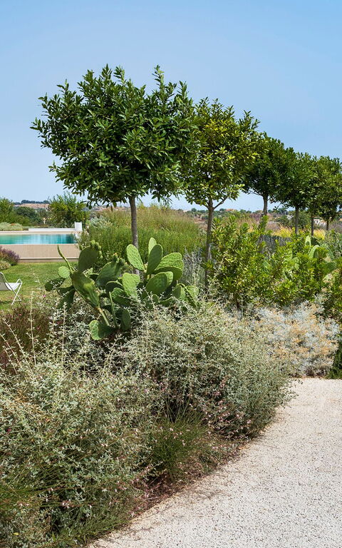 Villa Meravilla: Garden, Outdoor