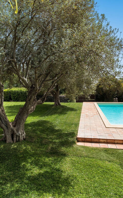 Villa Mila: Building Exterior, Garden, Outdoor, Pool