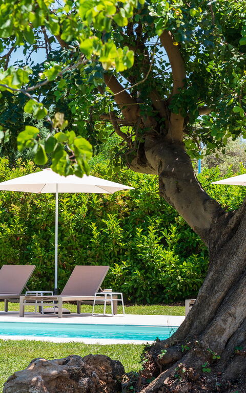 Villa Girasole: Garden, Pool