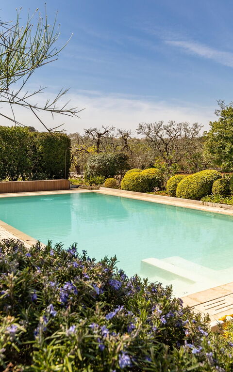 Trullo Patricia Pool: Garden, Pool
