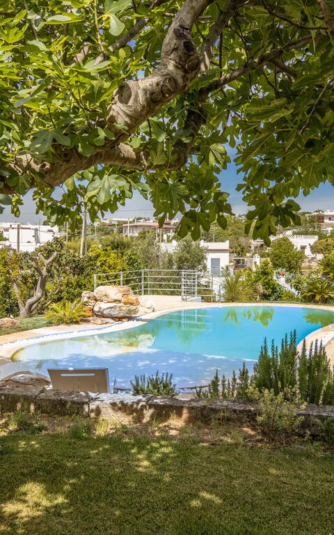 Villa Natura: Garden, Pool, Scenic View