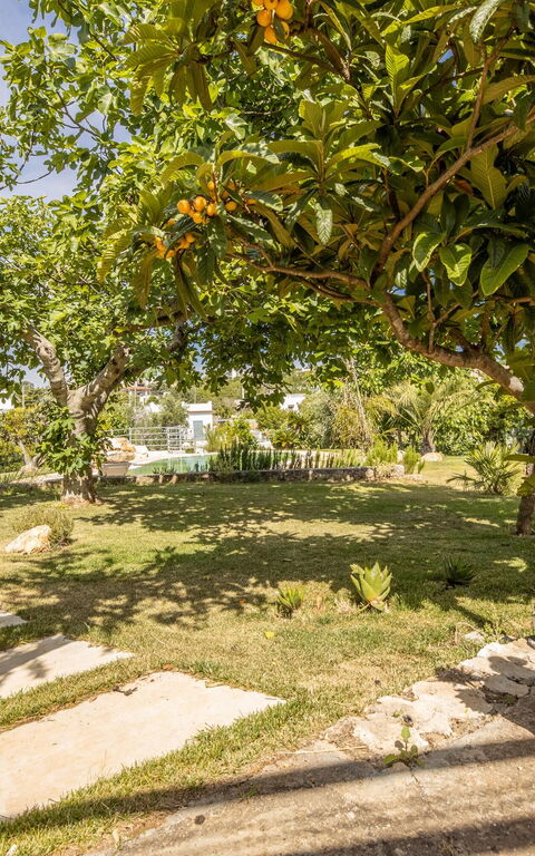 Villa Natura: Garden, Scenic View