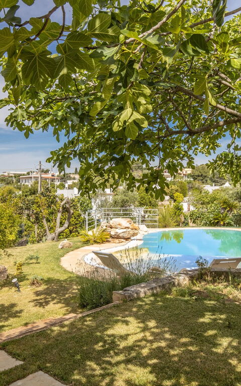 Villa Natura: Garden, Pool, Scenic View