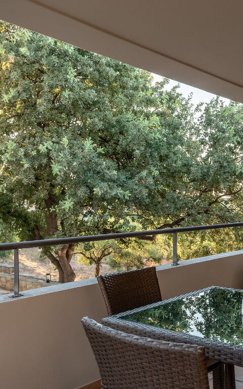 Iris: Balcony / Terrace / Patio, Outdoor, Scenic View