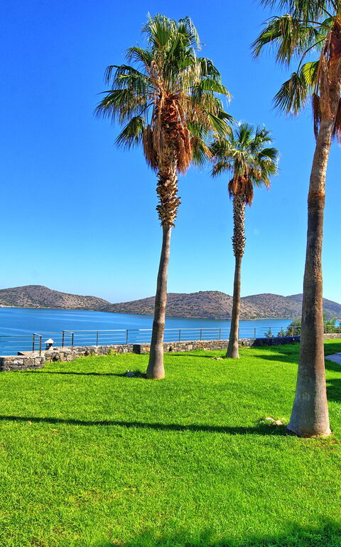 Villa Marina: Garden, Outdoor, Scenic View