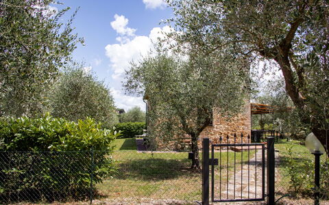 Accommodation Capanna: Building Exterior, Garden