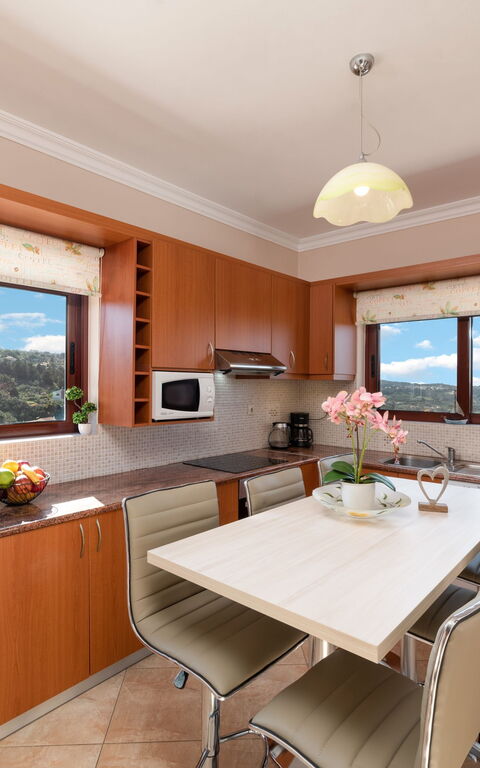 Villa Halepi: Kitchen