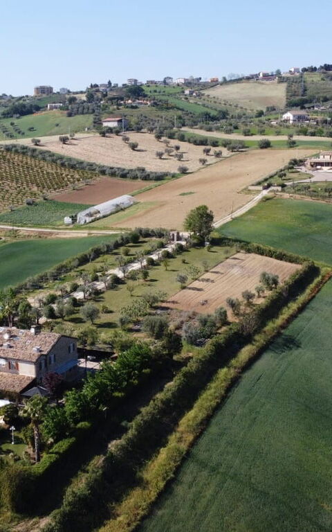 Villa Vittoria: Outdoor