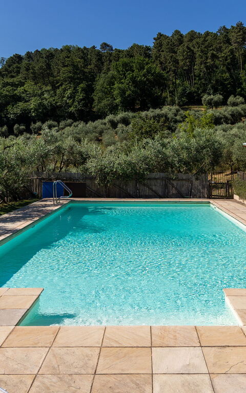 Villa Bellostare: Outdoor, Pool
