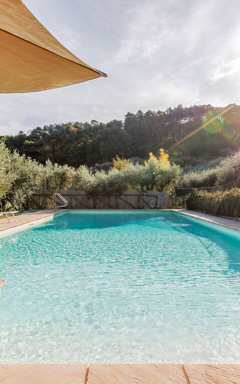 Villa Bellostare: Garden, Outdoor, Pool