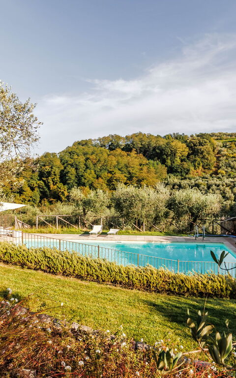 Villa Bellostare: Garden, Outdoor, Pool, Scenic View, Summer