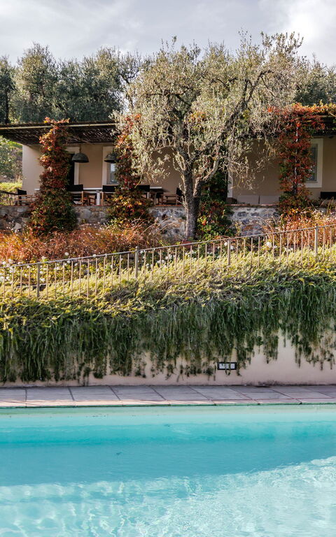 Villa Bellostare: Garden, Outdoor, Pool
