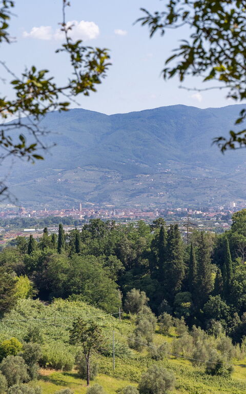 Villa Bellostare: Outdoor, Scenic View