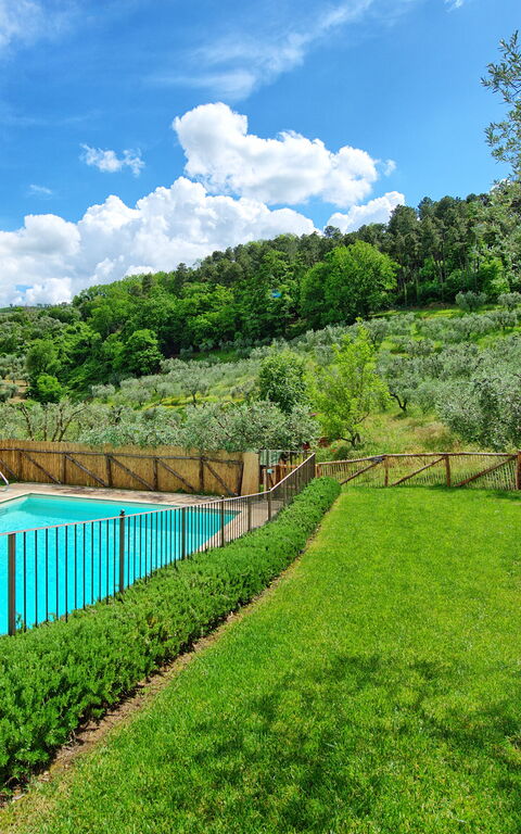 Villa Bellostare: Garden, Outdoor, Pool