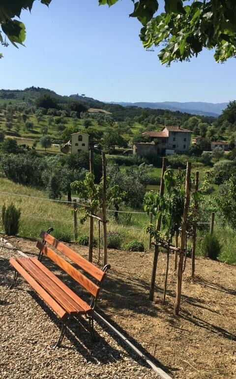 Bello Stare: Building Exterior, Outdoor