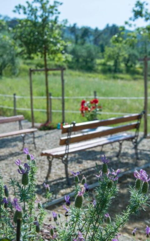 Bello Stare: Building Exterior, Outdoor