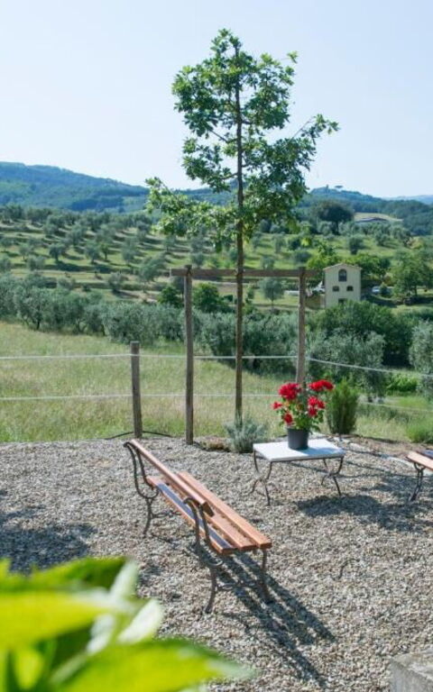 Bello Stare: Building Exterior, Outdoor