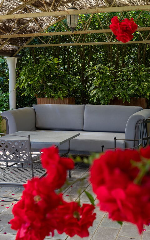 Bello Stare: Garden, Outdoor