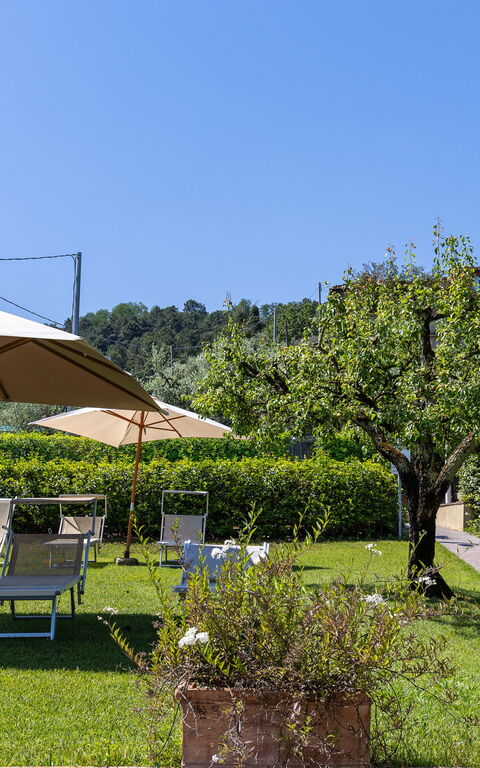 Bello Stare: Garden, Outdoor