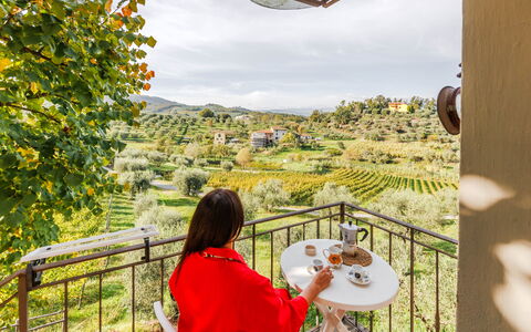 Accommodation Rossello: Balcony / Terrace / Patio, Room Detail