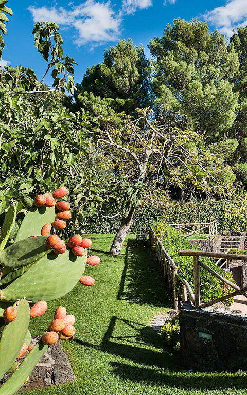 Villa Montefiore: Garden