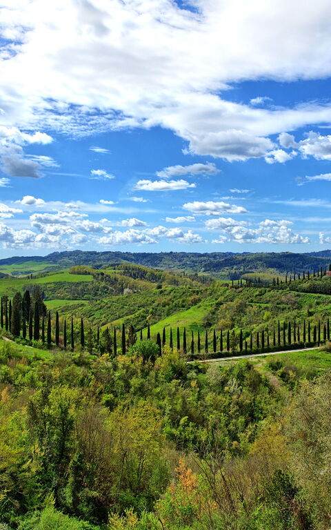 Santo Stefano: Scenic View
