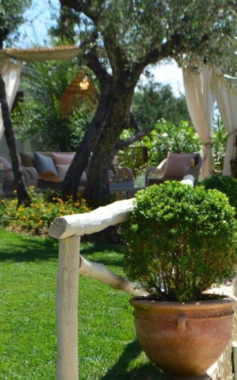 Casarosa Di Mariasole: Garden, Outdoor, Summer