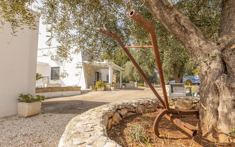 Villa Narkive: Building Exterior, Garden, Outdoor